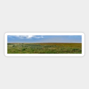 View over the wetlands of Lauwersmeer, The Netherlands Sticker